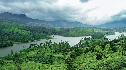 മൂന്നാര് ചോലവനത്തിന് ആഘാതമേല്പ്പിക്കുന്ന ബദല് റോഡ് ആവശ്യത്തിന് പിന്നിലെ ലക്ഷ്യം വന് ഭൂമി കയ്യേറ്റം;പിന്നില് റിസോര്ട്ട് മാഫിയ ?