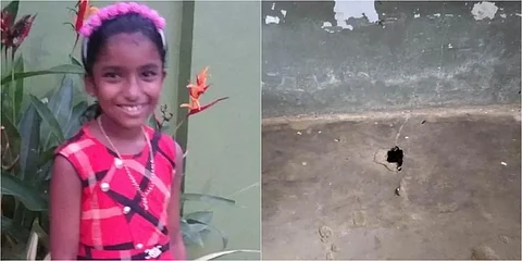 സ്കൂളുകള് പരിശോധിച്ച് സുരക്ഷ ഉറപ്പാക്കണം, പരിസരം വൃത്തിയാക്കണം, പാമ്പ് കടിയേറ്റാല് ചെയ്യേണ്ടതില് പരിശീലനം നല്കണമെന്നും ഉത്തരവ്