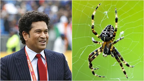 ‘മരെങ്കോ സച്ചിൻ ടെന്ഡുല്ക്കര്’ ; പുതിയ എട്ടുകാലി വർഗ്ഗത്തിന് സച്ചിന്റെ പേരിട്ട് ആരാധകനായ ഗവേഷകൻ