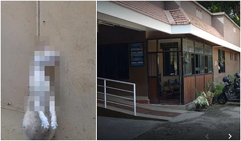 ഗര്ഭിണിയായ പൂച്ചയെ കെട്ടിത്തൂക്കി കൊന്നു, ആദ്യം വിസമ്മതിച്ചെങ്കിലും കേസെടുത്ത് പൊലീസ്, ജഡം പോസ്റ്റ്മോര്ട്ടം ചെയ്യും