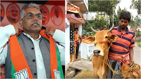 ‘പശുവില് സ്വര്ണം വെച്ചിട്ടെന്തിന്?’; ബംഗാള് മണപ്പുറം ബ്രാഞ്ചില് ‘സ്വര്ണപ്പാലുള്ള’ പശുവിനെ പണയം വെക്കാനെത്തി കര്ഷകന്