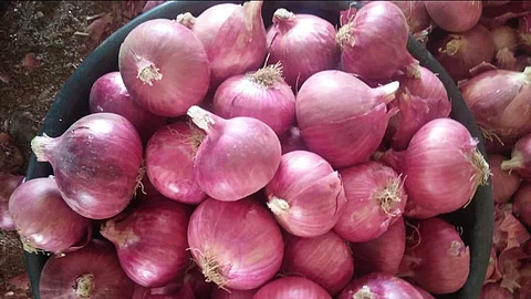 സവാള വില നിയന്ത്രിക്കാന് സര്ക്കാര്; കുറഞ്ഞ വിലയ്ക്ക് സപ്ലൈകോ വഴി വിതരണം