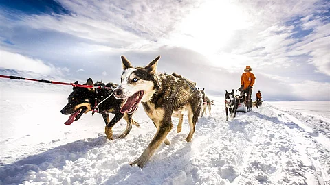ആര്ട്ടിക് പോളാര് എക്സ്പെഡിഷന് 