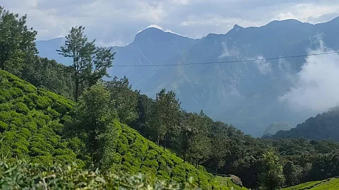 ഇടുക്കി ഭൂപ്രശ്നം: പരിഹാരം തേടി സര്ക്കാര്; 17 ന് സര്വകക്ഷിയോഗം