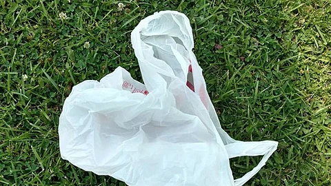 പ്ലാസ്റ്റിക് നിരോധനം: 15 വരെ പിഴയില്ല; നാളെ മുതല് വ്യാപാരികളുടെ സമരം