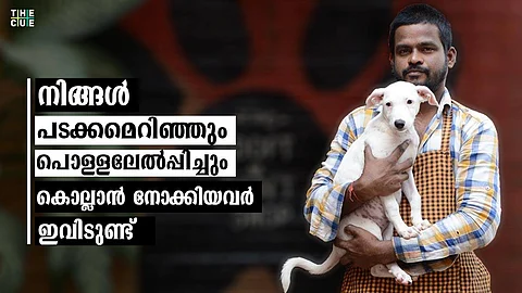 പടക്കമെറിഞ്ഞും പൊള്ളലേല്പ്പിച്ചും കൊല്ലാന് നോക്കിയ നായകള് ഇവിടുണ്ട്, തെരുവ് നായ്ക്കള്ക്കായി ജീവിതം മാറ്റിവച്ച എന്ജിനിയര്