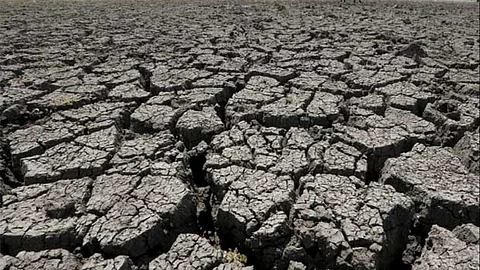 'വേനല്മഴയില്ലെങ്കില് ഇടുക്കിയും മലബാറും കടുത്ത വരള്ച്ചയിലേക്ക്'; കരുതല് വേണമെന്ന് മുന്നറിയിപ്പ്