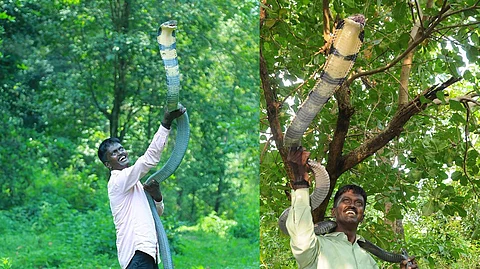 ‘വാവ സുരേഷ് പാമ്പുകളെ വെച്ചുള്ള ഷോ നിര്ത്തണം, ആരോഗ്യമന്ത്രി ഇടപെടണം’