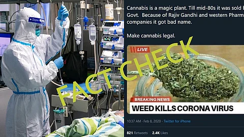 Fact Check : ‘കഞ്ചാവ് കൊറോണ വൈറസിനെ കൊല്ലും, രോഗബാധയ്ക്ക് മരുന്ന് കണ്ടെത്തി ശാസ്ത്രജ്ഞര്’; പ്രചരണം വ്യാജം