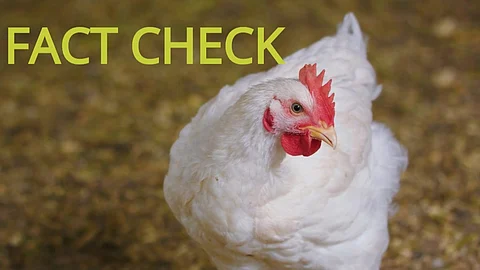 Fact Check : ‘കൊറോണ വൈറസ് പകരുന്നത് ബ്രോയിലര് കോഴികളില് നിന്ന്’ ; പ്രചരണം വ്യാജം