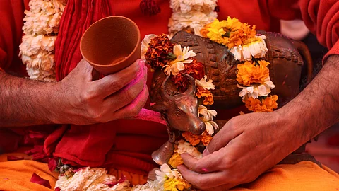 'കൊറോണയെ നേരിടാന് ഗോമൂത്ര പാര്ട്ടി'; കുടിക്കാനെത്തിയത് 200 പേര്