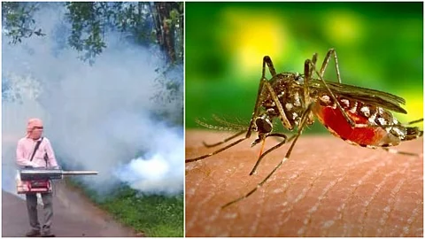 കൊവിഡ് ഭീതിക്കിടെ സംസ്ഥാനത്ത് ഡങ്കിപ്പനിയും; ജാഗ്രത വേണമെന്ന് ആരോഗ്യവകുപ്പ്