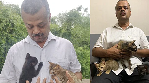 ‘അവരും വീട്ടിലെ അംഗങ്ങളാണ്’, പൂച്ചയ്ക്ക് ഭക്ഷണം വാങ്ങാന് ഹൈക്കോടതിയില് നിന്ന് അനുമതി നേടിയ പ്രകാശിന് പറയാനുള്ളത്