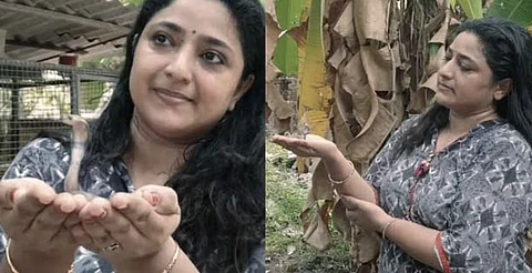 പാമ്പ് കളിക്കോപ്പ് അല്ല!