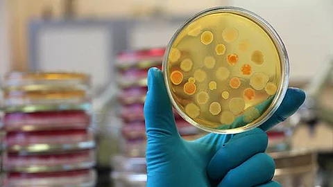 കൊവിഡ് ഒരു മനുഷ്യനിർമ്മിത വൈറസ് ആണോ?