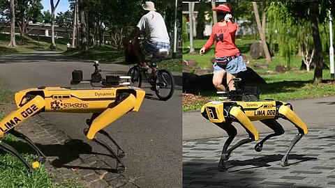 സാമൂഹിക അകലം ഉറപ്പാക്കാന് സിംഗപ്പൂരില് റോബോട്ട് നായ, ഓടി 'അകന്ന്' പാര്ക്കിലെത്തിയവര്