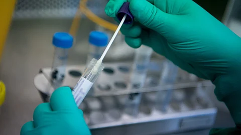 ചൈനയില് പുതിയതരം പന്നിപ്പനി വൈറസിനെ കണ്ടെത്തി; 'പകര്ച്ചവ്യാധി സാധ്യത'യുണ്ടെന്ന് മുന്നറിയിപ്പ്