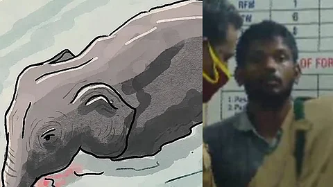 ഗര്ഭിണിയായ കാട്ടാന കൊല്ലപ്പെട്ട സംഭവം; സ്ഫോടക വസ്തു വെച്ചത് തേങ്ങയില്