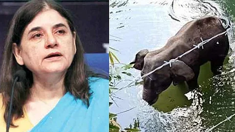 'ക്രിമിനല് ചെയ്തികള്ക്ക് മലപ്പുറം കുപ്രസിദ്ധം'; വിദ്വേഷ പ്രചരണവുമായി മനേകാ ഗാന്ധി