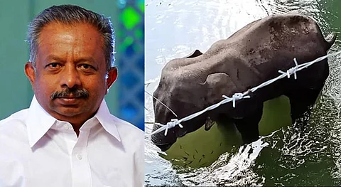 'ആനയെ കൊല്ലാന് മനപ്പൂര്വം ചെയ്തെന്നാണ് കരുതേണ്ടത്'; കുറ്റക്കാര്ക്കെതിരെ കര്ശന നടപടിയെന്ന് മന്ത്രി കെ രാജു ദ ക്യുവിനോട്