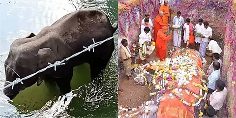 Fact Check : സംസ്കാരത്തെ ചൊല്ലിയും വ്യാജപ്രചരണം ; പാലക്കാട് ആന ചരിഞ്ഞതില് നുണക്കഥകള് തുടരുന്നു