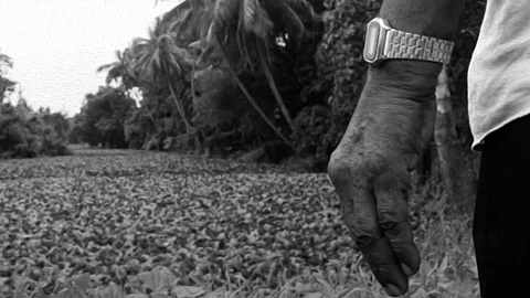 മാറാത്ത കാലത്തിന്റെ ‘തുടർച്ച’; ഒരു മിനിറ്റിൽ ജസ്റ്റിൻ വർഗീസ് ഒരുക്കിയ ഹ്രസ്വചിത്രം