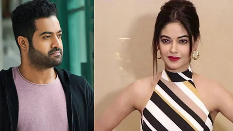 ജൂനിയര് എന്ടിആറിനെ അറിയില്ലെന്ന് പരാമര്ശം, മീര ചോപ്രക്കെതിരെ ബലാത്സംഗ ഭീഷണിയുമായി ഫാന്സ്