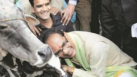 'ഗോസംരക്ഷണവും വികസനവും ലക്ഷ്യം'; മധ്യപ്രദേശില് 'കൗ കാബിനറ്റ്' രൂപീകരിക്കുമെന്ന് ശിവരാജ് സിങ് ചൗഹാന്