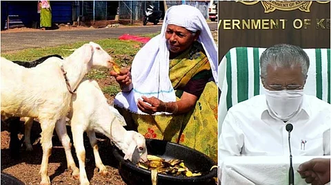 vaccine challenge, CMDRF