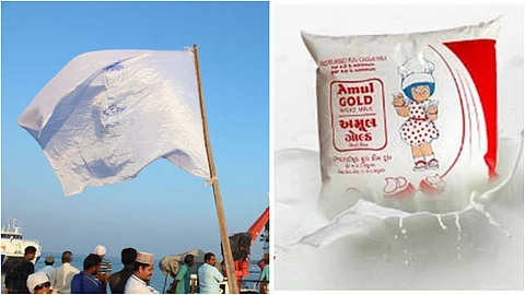 അമുൽ ഉത്പന്നങ്ങൾ എത്തിക്കുന്നതിനെതിരെ ലക്ഷദ്വീപിലെ വിദ്യാർഥി സംഘടനകൾ; പശുക്കളുടെ ലേലത്തിൽ പങ്കെടുക്കരുതെന്ന് ആഹ്വാനം