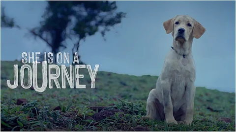 വിനീത് ശ്രീനിവാസന്റെ ആലാപനത്തിൽ രക്ഷിത് ഷെട്ടിയുടെ '777 ചാർളി' ഒഫീഷ്യൽ ടീസർ; സംവിധാനം കിരൺ രാജ്