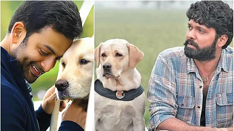 Rakshit Shetty's 777 Charlie