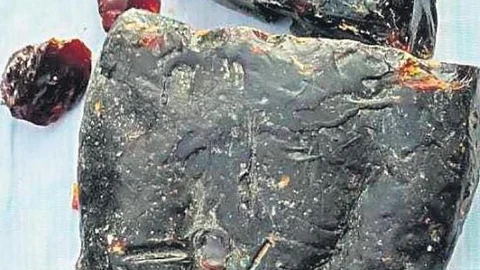 തൃശൂരില് 30 കോടിയുടെ തിമിംഗല ഛര്ദ്ദി പിടികൂടി; സ്വര്ണത്തോളം വിലയുള്ള ആംബര്ഗ്രിസ് കേരളത്തില് പിടിക്കുന്നത് ആദ്യം