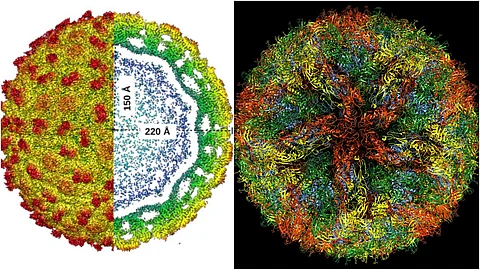 സംസ്ഥാനത്ത് ആദ്യമായി സിക്ക വൈറസ് റിപ്പോര്ട്ട് ചെയ്തു; എല്ലാ ജില്ലകള്ക്കും ജാഗ്രതാ നിര്ദേശം നല്കി