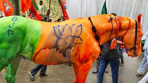 കുതിരയുടെ ശരീരത്തില് ബി.ജെ.പി കൊടിയുടെ ചിത്രം വരച്ചു; കേസെടുത്ത് മനേക ഗാന്ധിയുടെ എന്.ജി.ഒ