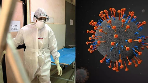 'ഒറ്റക്കെട്ടായി പ്രതിരോധിക്കാം'; നിപ വൈറസ് അറിയേണ്ടതെല്ലാം