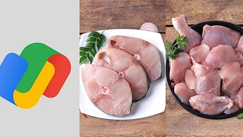 ഗൂഗിള് പേ ഉണ്ടോയെന്ന് ചോദിച്ച് തട്ടിപ്പ്; രണ്ട് കിലോ അയക്കൂറയും, കോഴിയിറച്ചിയും, മട്ടനും വാങ്ങി 'മാന്യന്' മുങ്ങി