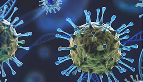 ദക്ഷിണാഫ്രിക്കയില് കണ്ടെത്തിയ പുതിയ കൊവിഡ് വകഭേദം അതീവ അപകടകാരി, തീവ്രവ്യാപന ശേഷിയെന്ന് ലോകാരോഗ്യ സംഘടന