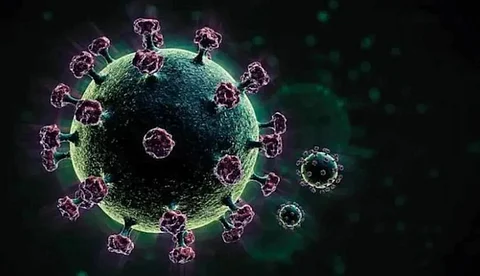 പ്രശംസിക്കുന്നതിന് പകരം ശിക്ഷിക്കുന്നു, ഒരുമിച്ചു നില്ക്കുന്നതിന് പകരം ലോക രാജ്യങ്ങള് ഒറ്റപ്പെടുത്തുന്നുവെന്ന് ദക്ഷിണ ആഫ്രിക്ക