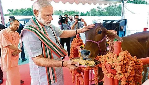 പശു ബിജെപി സര്ക്കാരിന് അഭിമാനമാണ്, മറ്റുള്ളവര് പാപമായി കരുതുന്നു: നരേന്ദ്ര മോദി
