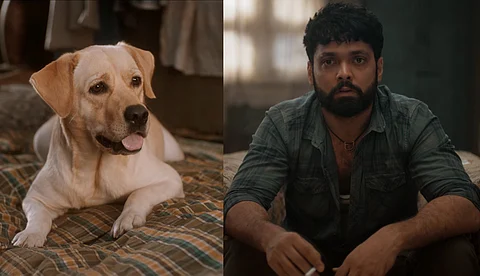 'ഇന്ന് ചാര്ളിയുടെ ദിവസമാണ്'; 777 ചാര്ളി ട്രെയ്ലര്