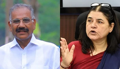 മനേക ഗാന്ധി വസ്തുതകള് മനസിലാക്കുന്നില്ല; കാട്ടു പന്നിയെ വെടിവെക്കാനുള്ള ഉത്തരവില് എ.കെ ശശീന്ദ്രന്