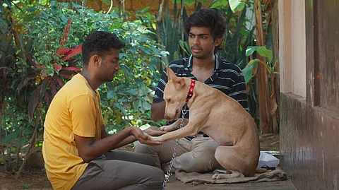 'ശുനക യുവരാജൻ' ; നെയ്മറിലെ പുതിയ ഗാനം