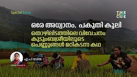 കുടുംബശ്രീയില് കൈകോര്ത്തു, കാന്തല്ലൂരില് സമത്വത്തിന്റെ വിളവെടുപ്പ്