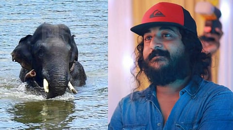 'അരിക്കൊമ്പന്' സിനിമയാകുന്നു ; ആനയുടെ ആംഗിളില് നിന്നും കഥ പറയുമെന്ന് സംവിധായകന് സാജിദ് യാഹിയ