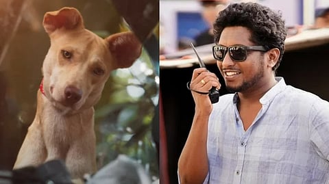 'നായകള്ക്ക് അഭിനയിക്കാന് അറിയില്ല ജീവിക്കാനേ അറിയൂ' ; അവരുടെ വികാരങ്ങള് ജെനുവിനായിരിക്കുമെന്ന് സുധി മാഡിസണ്