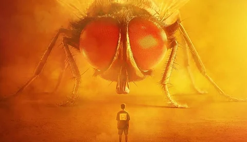 'വലിയ ഈച്ചയും ചെറിയ മനുഷ്യനും' : ലൗലി ഫസ്റ്റ് ലുക്ക്