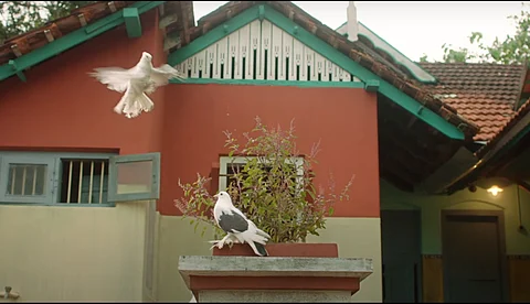 'വേർപിരിഞ്ഞും ഇണ ചേർന്നലിഞ്ഞും കഥ നീളുമീ പാതയോരം'; 'പെയ്നീർ പോലെ' ഒറ്റയിലെ ആദ്യ ഗാനം