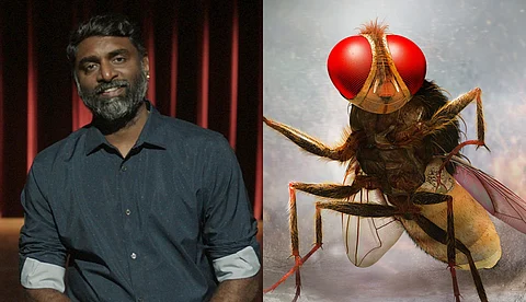 'ഞങ്ങൾ ഈച്ചകളെ പിടിച്ചു, അവയെ നിരീക്ഷിച്ചു'; ആർആർആർ അല്ല ഈഗയാണ് കരിയറിലെ ഏറ്റവും വെല്ലുവിളി നിറഞ്ഞ ചിത്രമെന്ന് കെ.കെ സെന്തിൽ കുമാർ