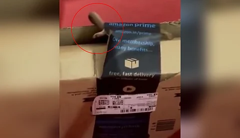 ആമസോണ് പാക്കേജില് നിന്ന് പുറത്തു വന്നത് മൂര്ഖന് പാമ്പ്; വീഡിയോ വൈറല്, ഖേദം പ്രകടിപ്പിച്ച് കമ്പനി